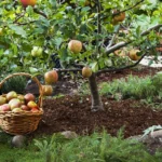 %d8%aa%d9%81%d8%a7%d8%ad