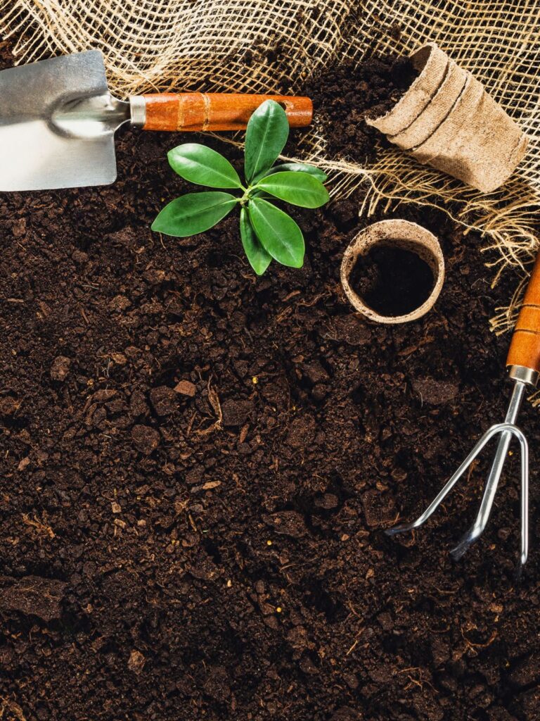 الزراعة المنزلية: سحر الطبيعة بين يديك مع مشاتل خضراء