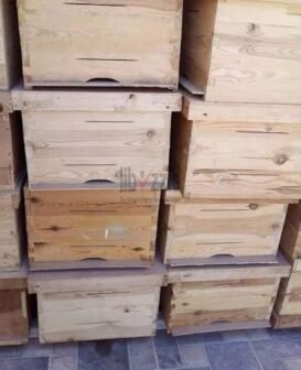 خلايا نحل مقاس 8 برواز